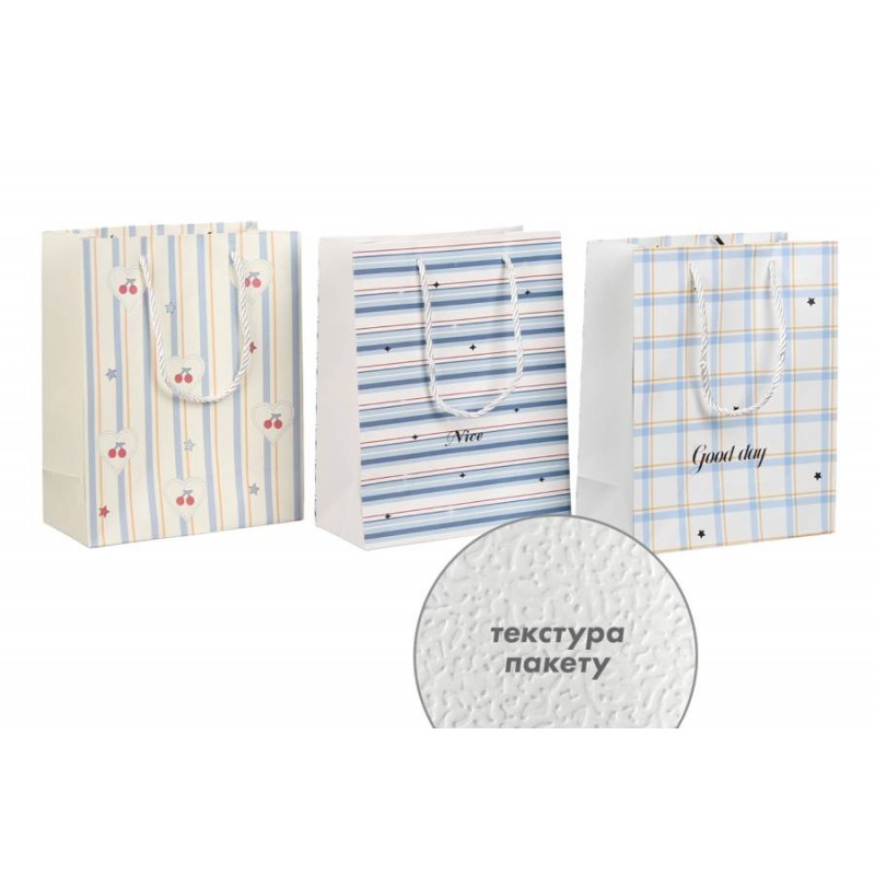 Подарочный пакет (24,5*19,5*9,5см) 3123-10767