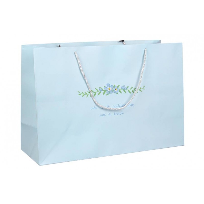 Подарочный пакет (55*37*20см) 3123-11429