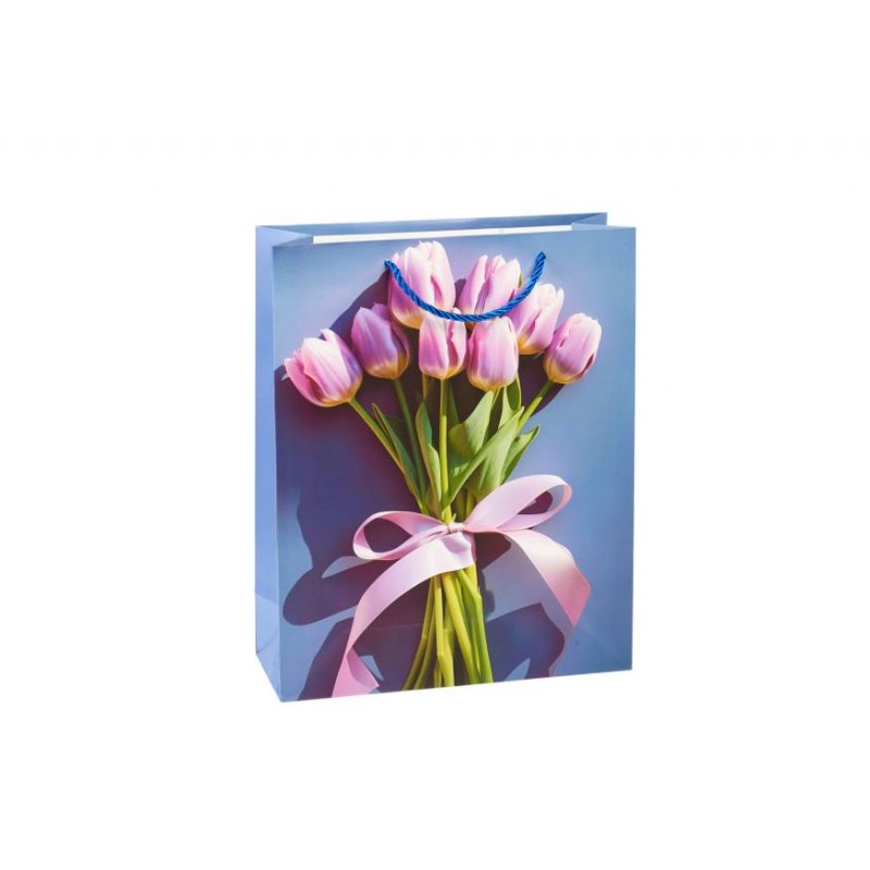 Подарочный пакет (26*32*10см) 3123-11900