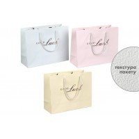 Подарочный пакет (24,5*19,5*9,5см) 3123-11221