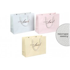 Подарочный пакет (24,5*19,5*9,5см) 3123-11221