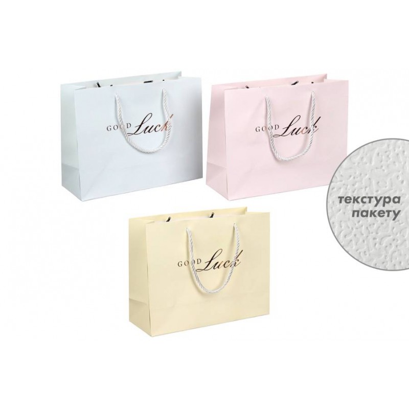Подарочный пакет (24,5*19,5*9,5см) 3123-11221