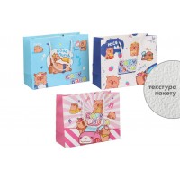 Подарочный пакет (25,4*20*9,5см) 3123-11078