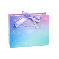 Подарочный пакет (25*10*20см) 3123-13256