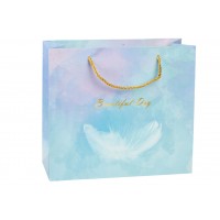 Подарочный пакет (30*12*27см) 3123-13188