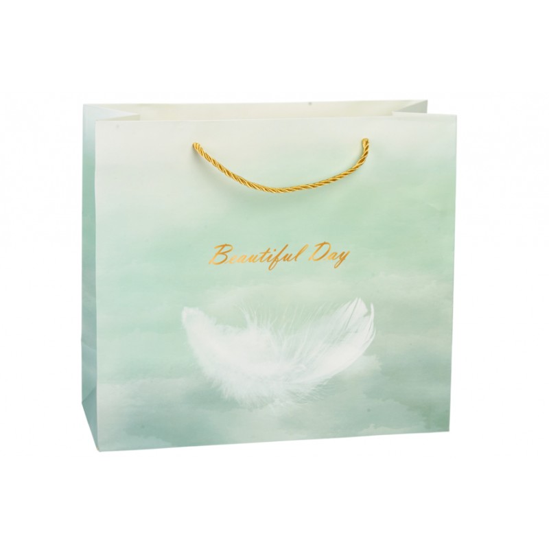 Подарочный пакет (30*12*27см) 3123-13218