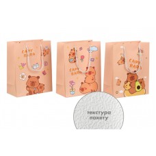 Подарочный пакет (24,5*19,5*9,5см) 3123-11146