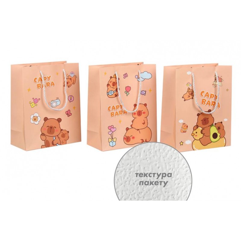 Подарочный пакет (24,5*19,5*9,5см) 3123-11146