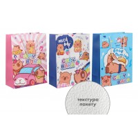 Подарочный пакет (24,5*19,5*9,5см) 3123-10828