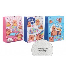 Подарочный пакет (24,5*19,5*9,5см) 3123-10828