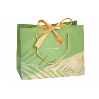 Подарочный пакет (25*20*12см) 3123-12990