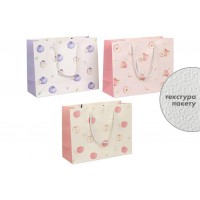 Подарочный пакет (24,5*19,5*9,5см) 3123-11191