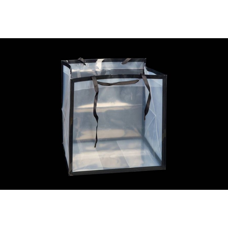 Плайм пакет черный (16*15*17см) 3123-11641