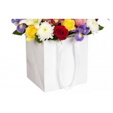 Пакет картонний вертикальний белый (24,5*25*28см) 210гр/м² 255-9032