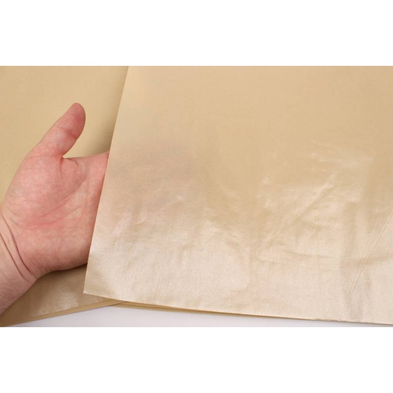 Бумага тишью Премиум двухстороняя (50см х 70см) 38г/м² 20шт. 5-90488