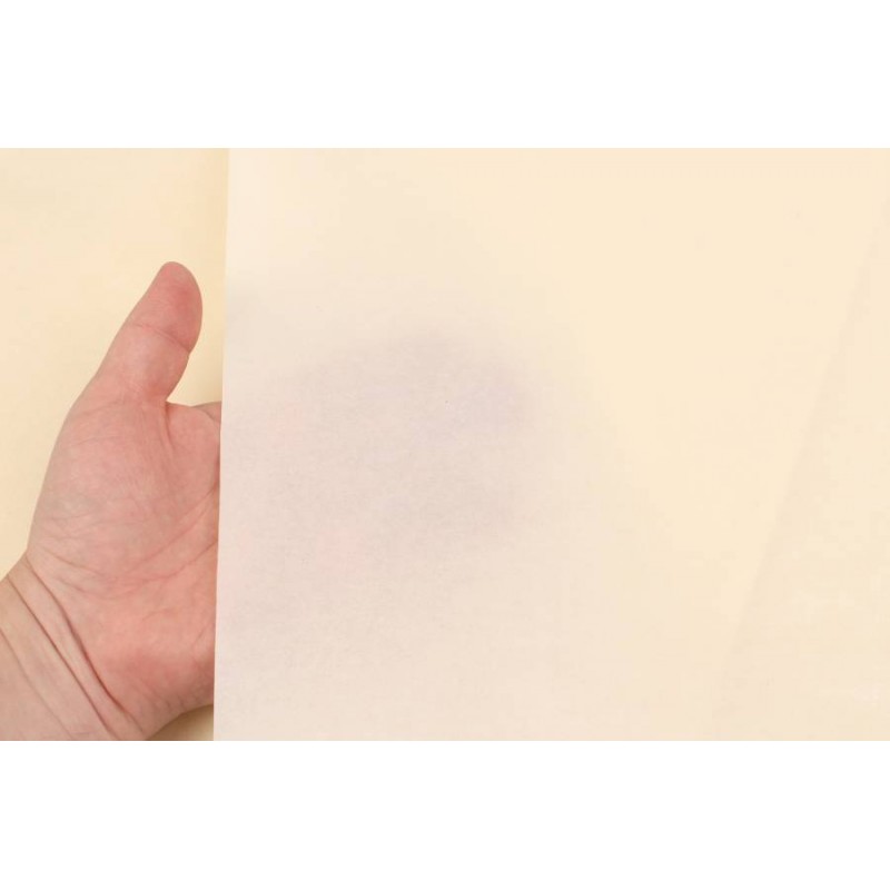 Бумага тишью Премиум двухстороняя (50см х 70см) 38г/м² 20шт. 5-90433