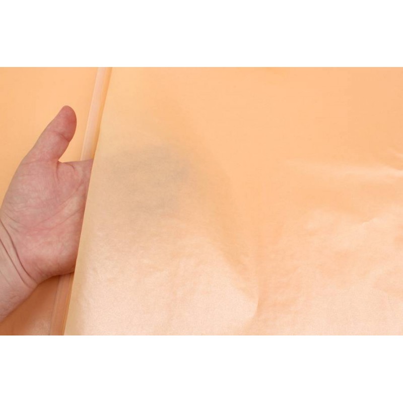 Бумага тишью Премиум двухстороняя (50см х 70см) 38г/м² 20шт. 5-90440