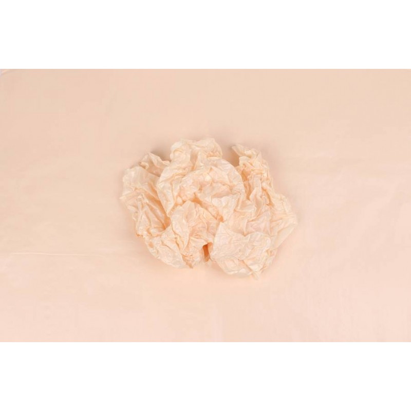 Бумага тишью Премиум двухстороняя (50см х 70см) 38г/м² 20шт. 5-90419